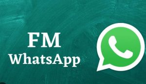 The Ultimate Guide to Group Chats in FM WhatsApp